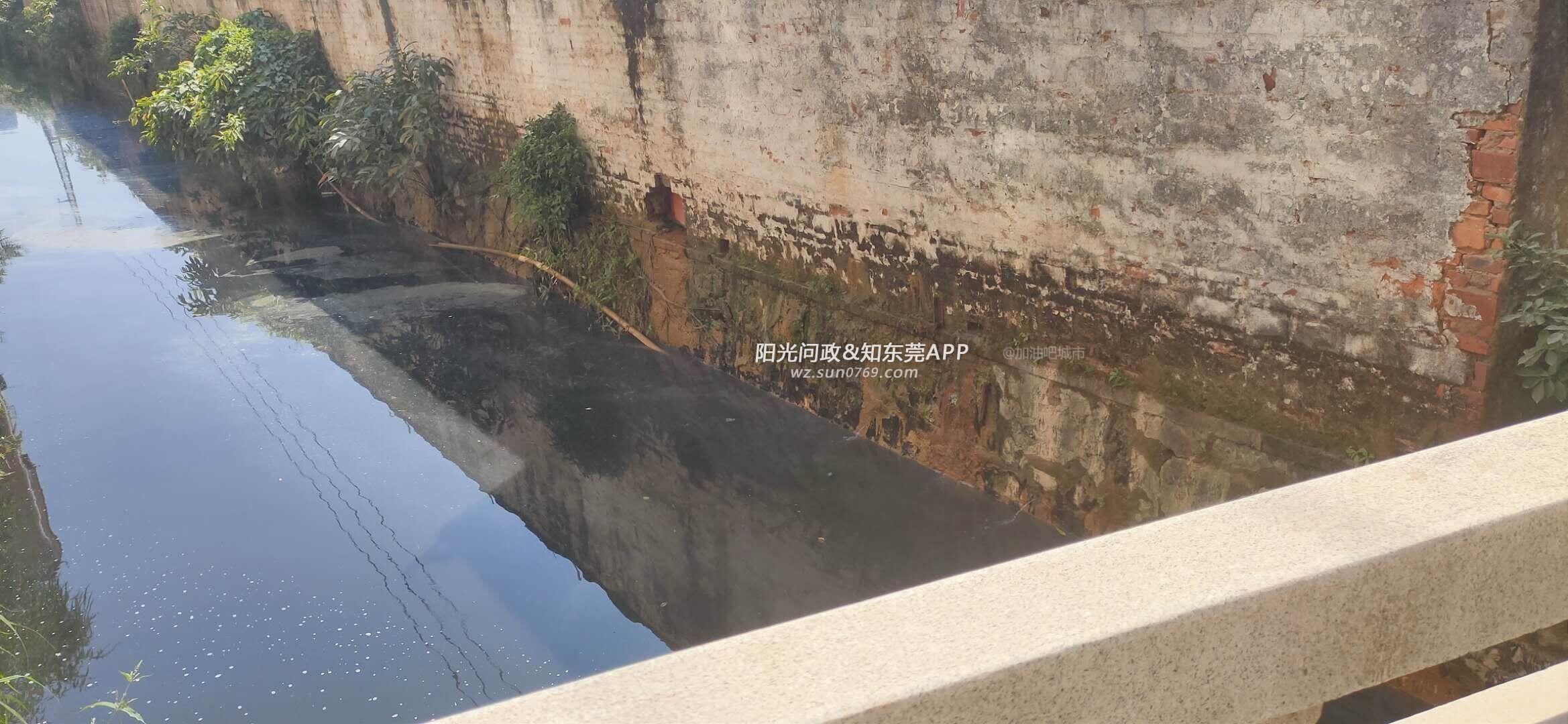 铁腕治水护生态 刘裕昌督导寒溪河水污染防治，直击黑臭水体治理难题
