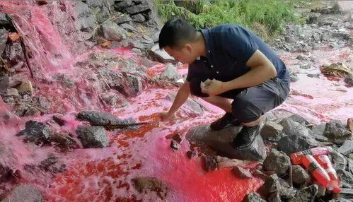 湖北多地磷石膏消减不力，污染威胁长江水环境安全