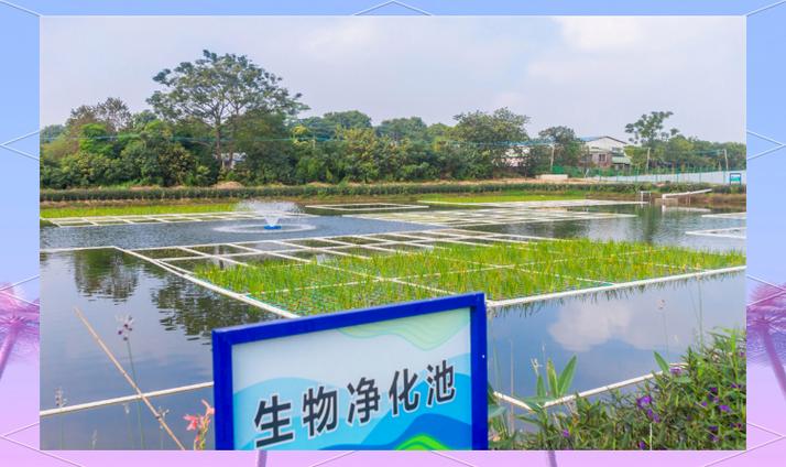 广东顺控自华科技 生态环境领域的创新力量——水环境污染防治的探索与实践